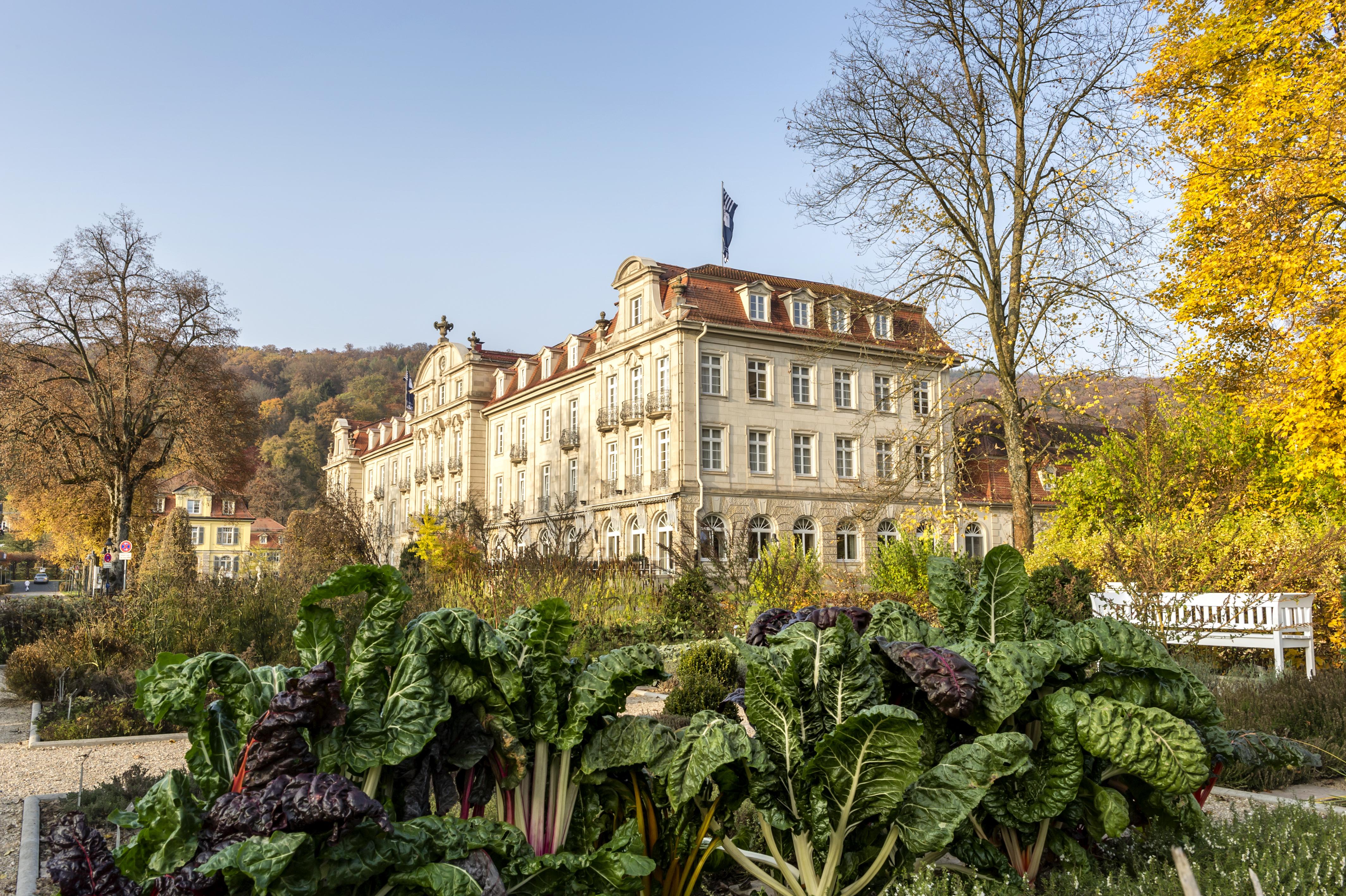 Dorint Resort & Spa Bad Brueckenau Штатсбад-Брюккенау Экстерьер фото